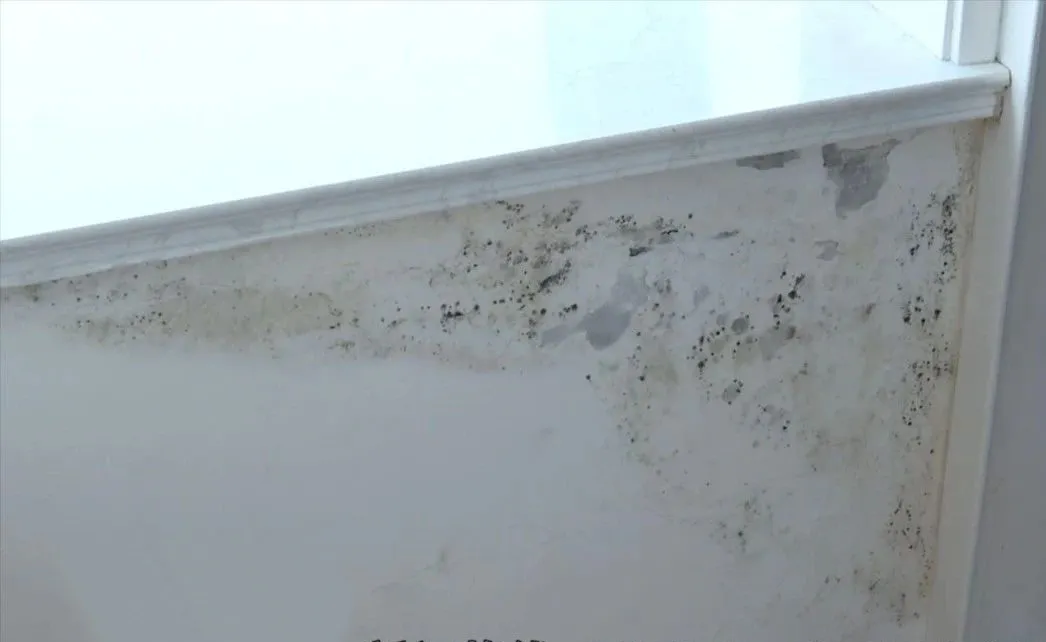 夏天多暴雨，門窗如何做到“滴水不漏”？