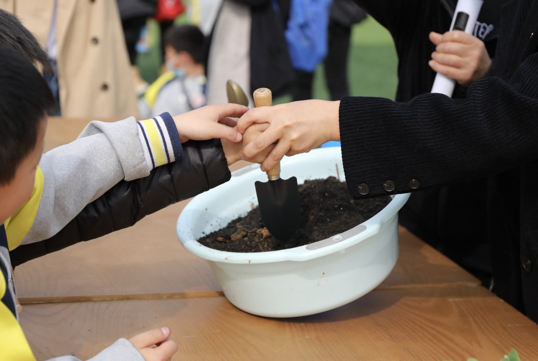 “我们”有一块地这就播种去丨天府新区元音小学劳动实践基地启动