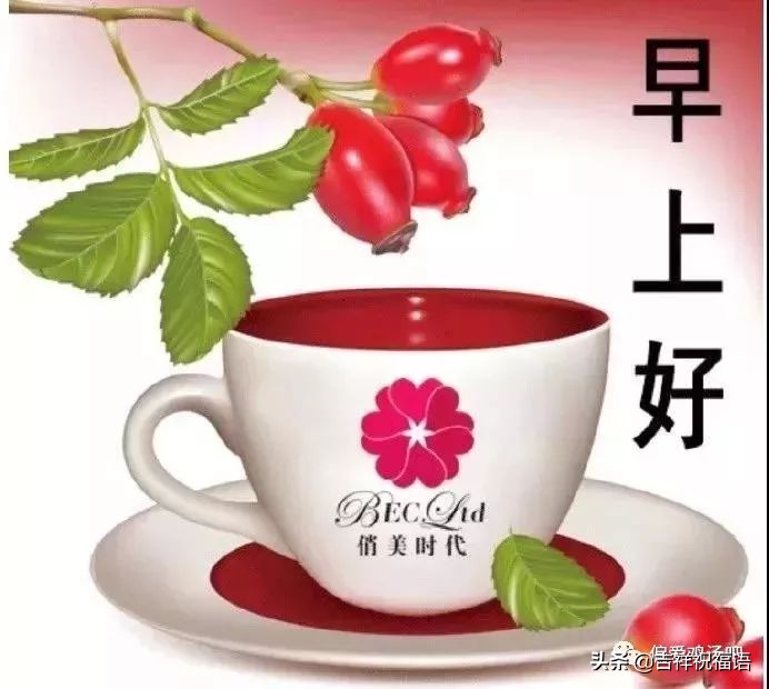 早上好动态图片带字和鲜花 早上好图片大全图片