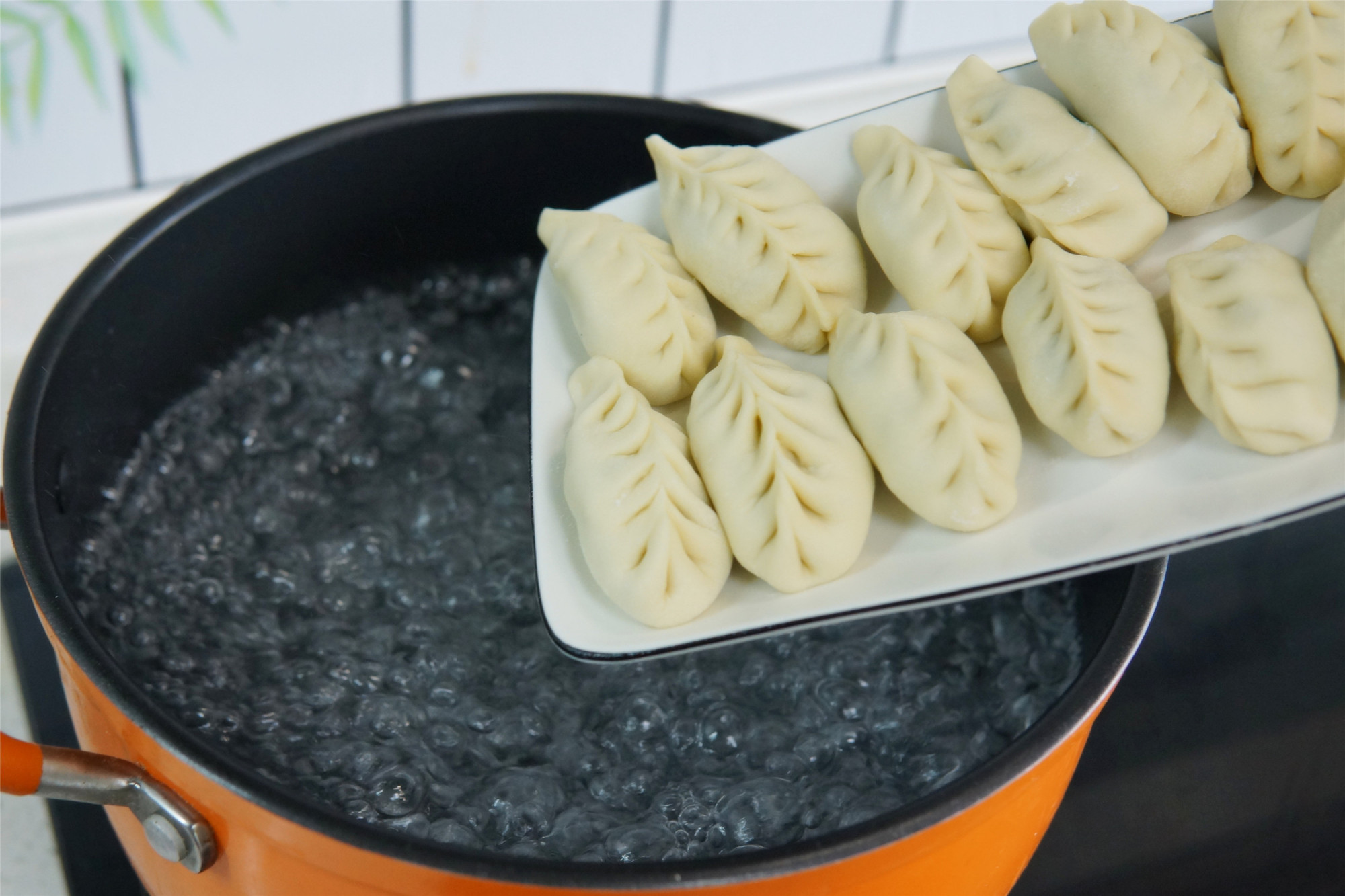 天热，就馋这个馅的饺子，鲜香爽口，便宜好吃