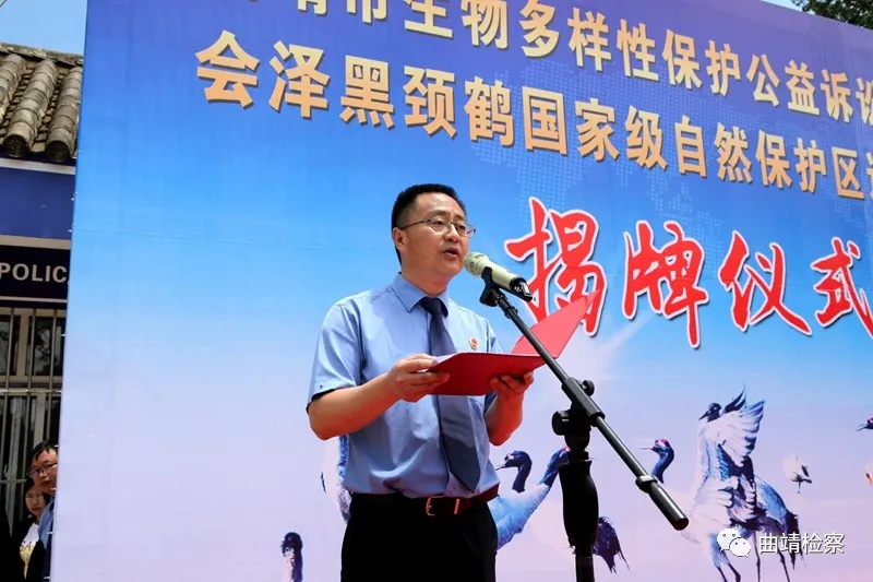 【我为群众办实事】曲靖:“基地+检察室”助力生物多样性保护 同心协力 共建万物和谐的美丽家园