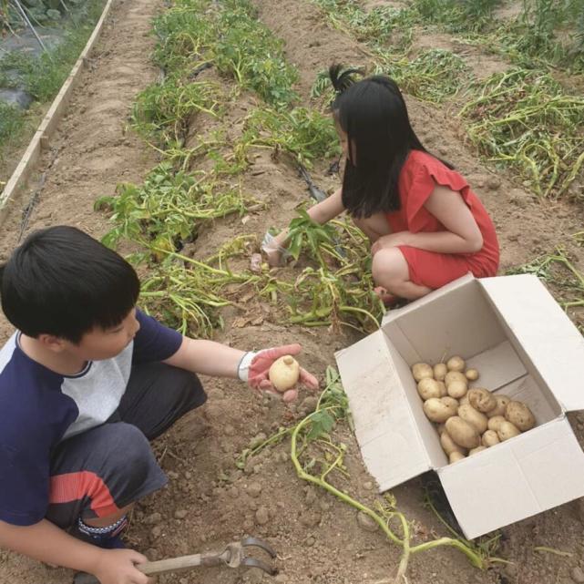 49岁李英爱带孩子玩，9岁龙凤胎身高到妈妈肩膀，女儿可爱漂亮