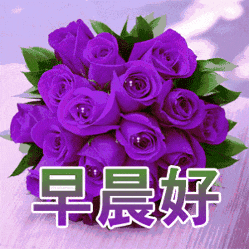 星期三最新版早安短信问候祝福语大全 把最美的祝福送给你图片
