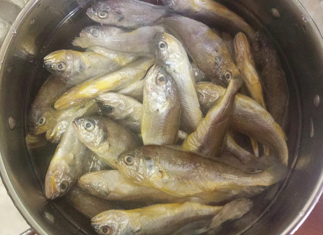 超简单的油炸小黄鱼 美食做法 第1张 超简单的油炸小黄鱼 美食做法 第1张