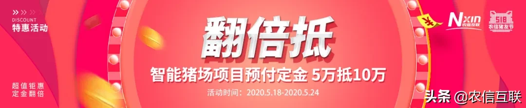 猪小智重磅加码“518猪友节”