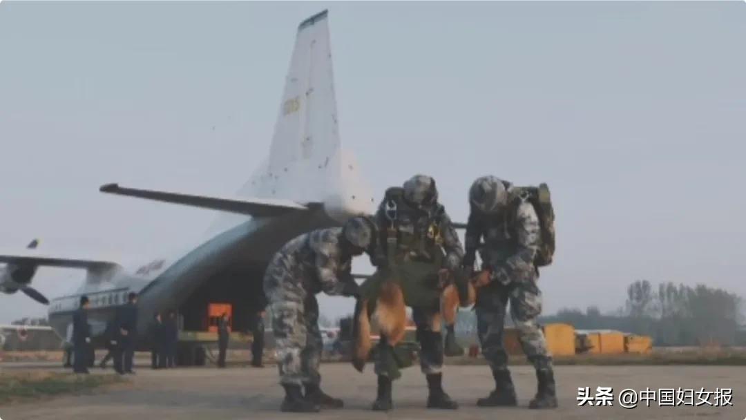 没有困难的工作，只有勇敢的狗狗
