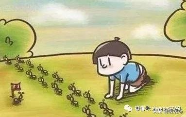 暑假观察<a href=http://www.xuexixinxi.com/zuowen/ target=_blank class=infotextkey>作文</a>范文20篇