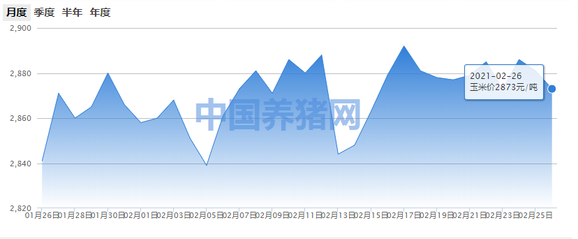 玉米持续一年多的火爆行情，是不是涨到头了？