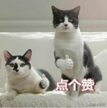 基金一季报来了！傅鹏博、萧楠、周应波、劳杰