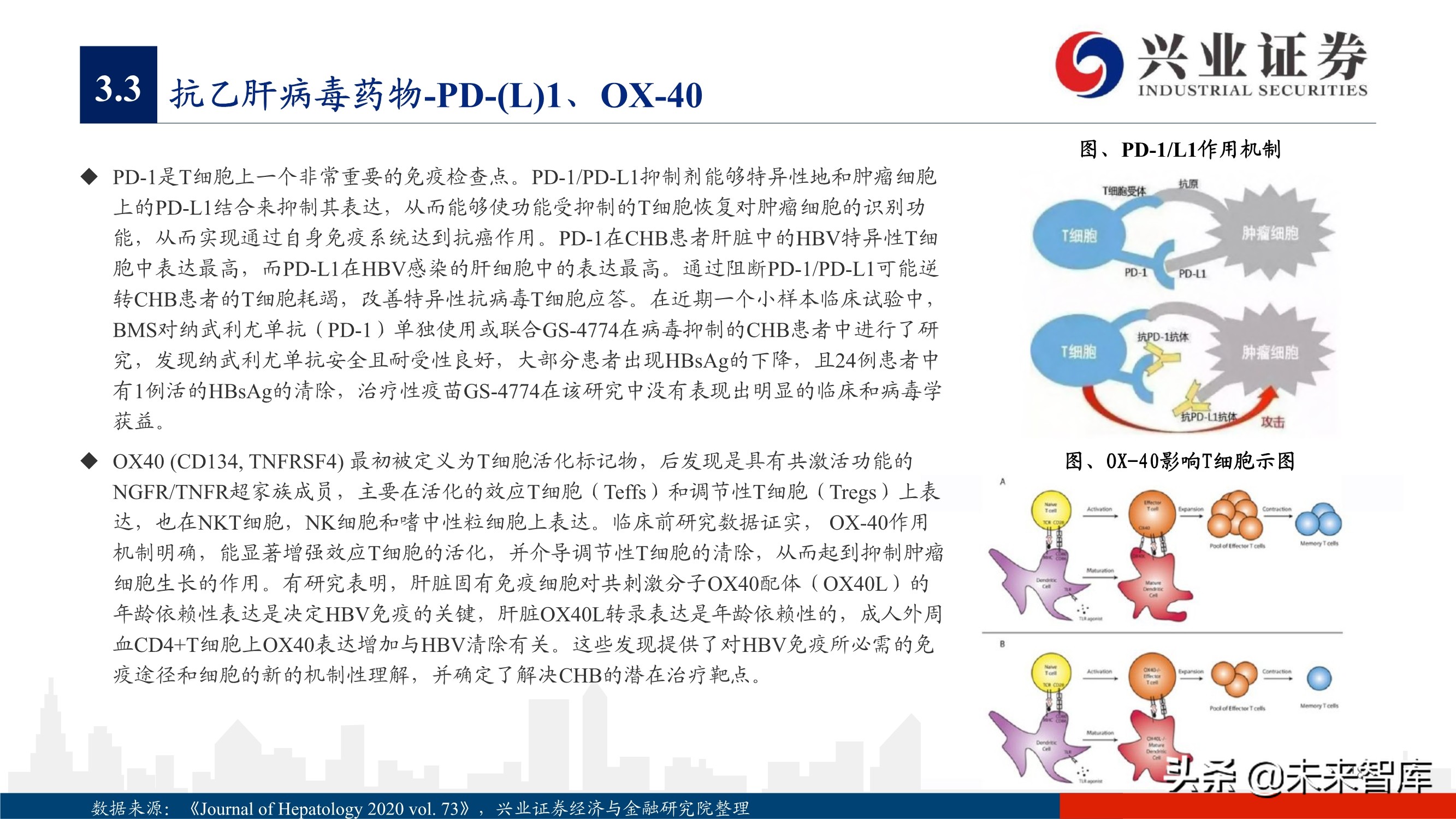 抗病毒药物150页深度报告：新冠映射下的价值洼地