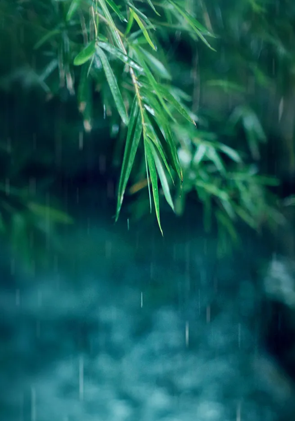 有关小雨的诗词，让小雨驱散夏日的炎热-第25张图片-非凡网