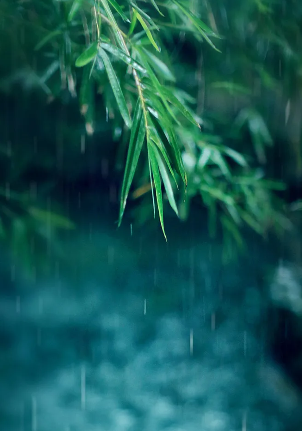 有关小雨的诗词，让小雨驱散夏日的炎热-第25张图片-诗句网