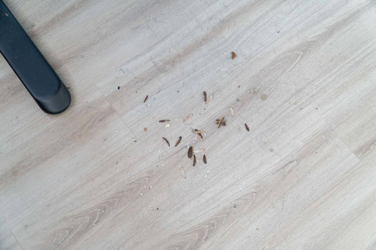 洒拖F6：吸拖一体、一次清洁，开启吸尘器2.0时代