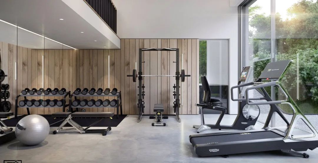 挥金如土的有钱人，喜欢在家玩什么？