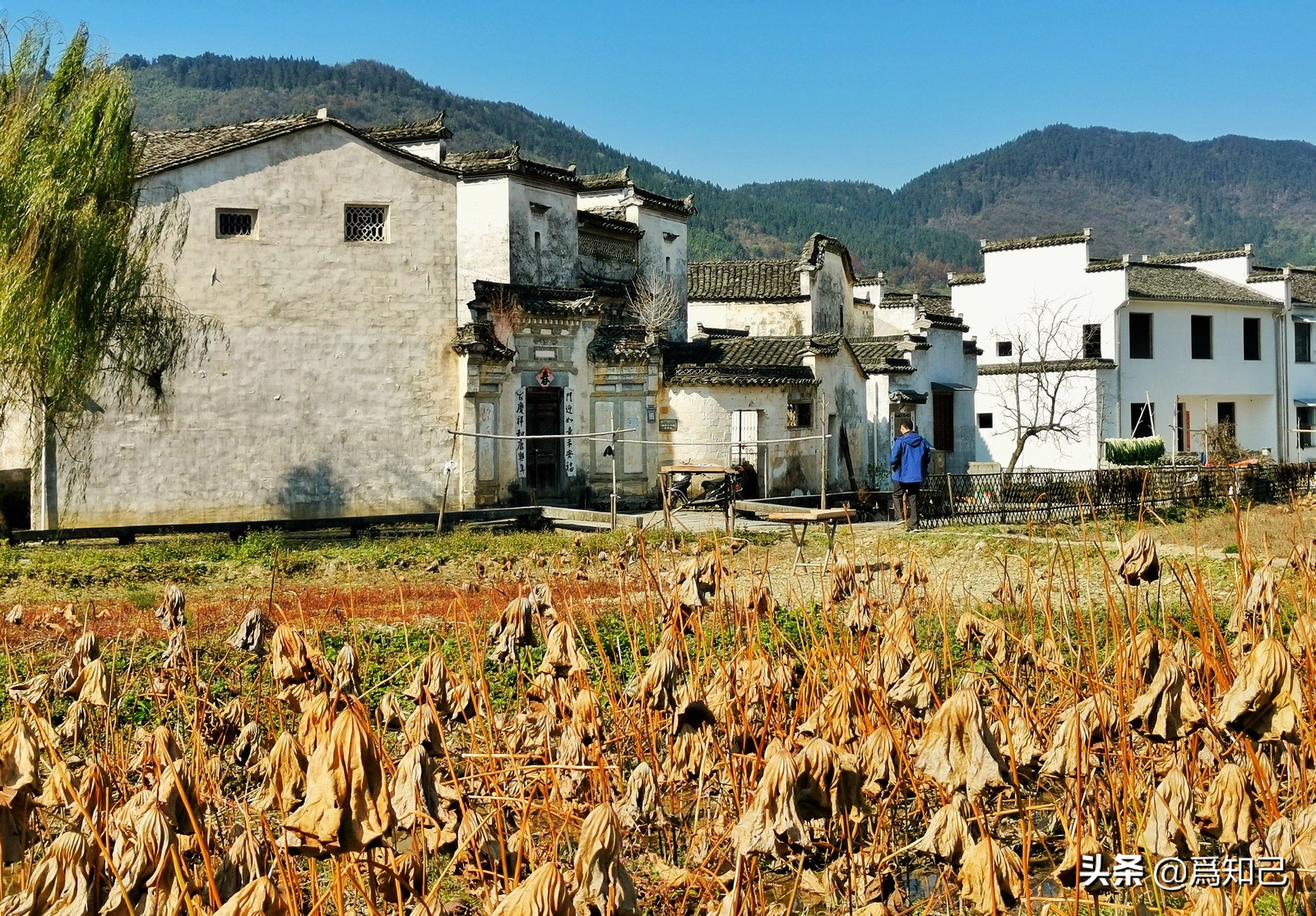 黟縣關麓村汪氏八個兄弟的八大家住宅群是此村最具特色的古建築 為知己 Mdeditor
