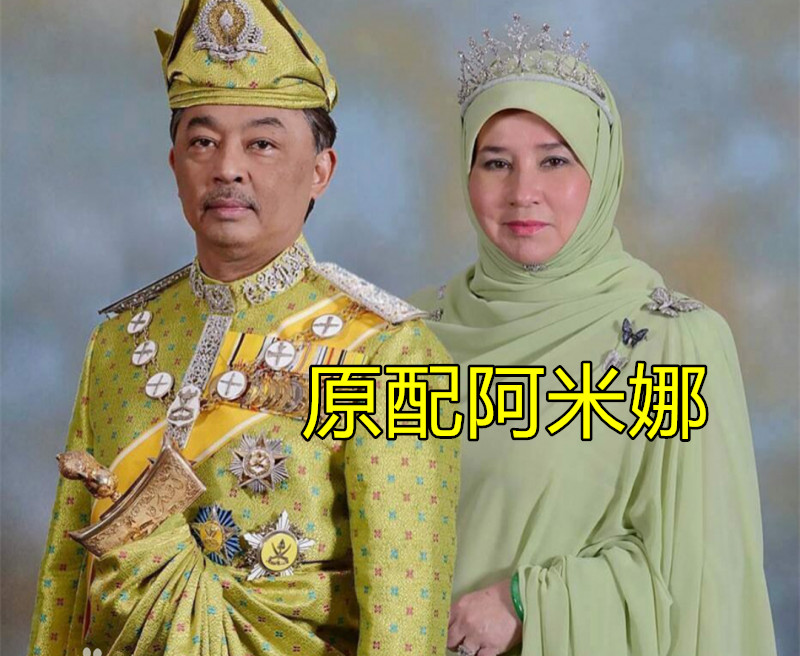 The king of Malaysia married 2 wives, gave birth to 5 tropical 