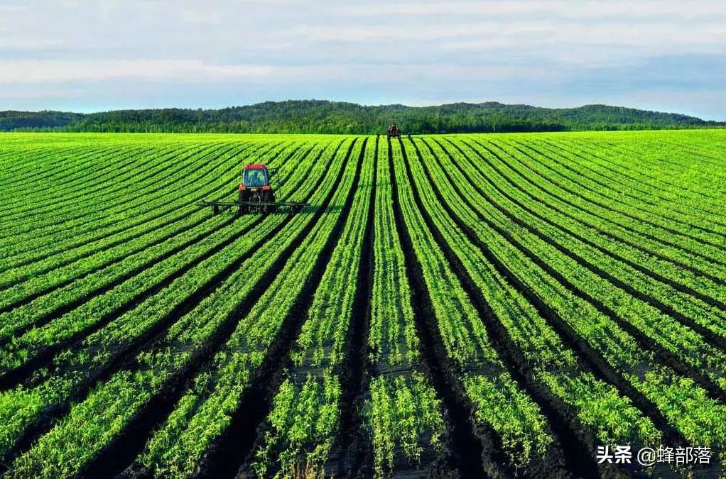 自媒体竞争越来越大，2021农民将迎来2大机遇，抓住了，前景不错