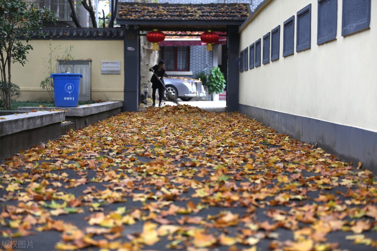南京的秋天，美成了金陵该有的样子，谁能不爱？插图41