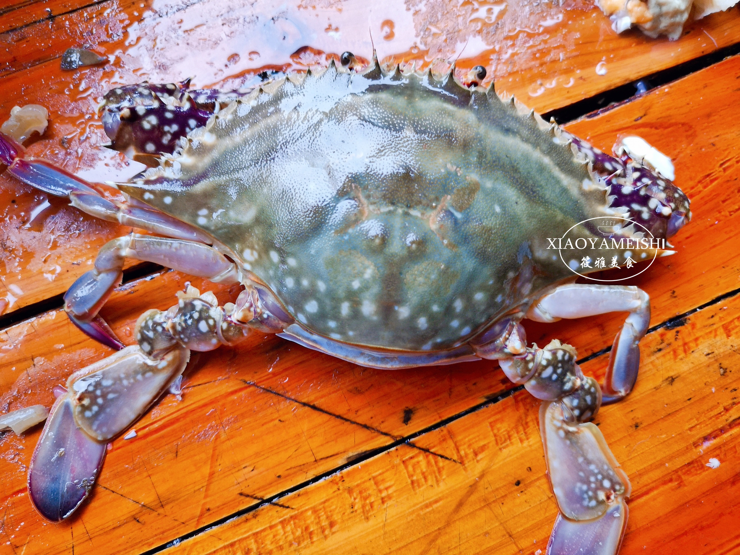 同样是蟹大闸蟹梭子蟹青蟹的区别