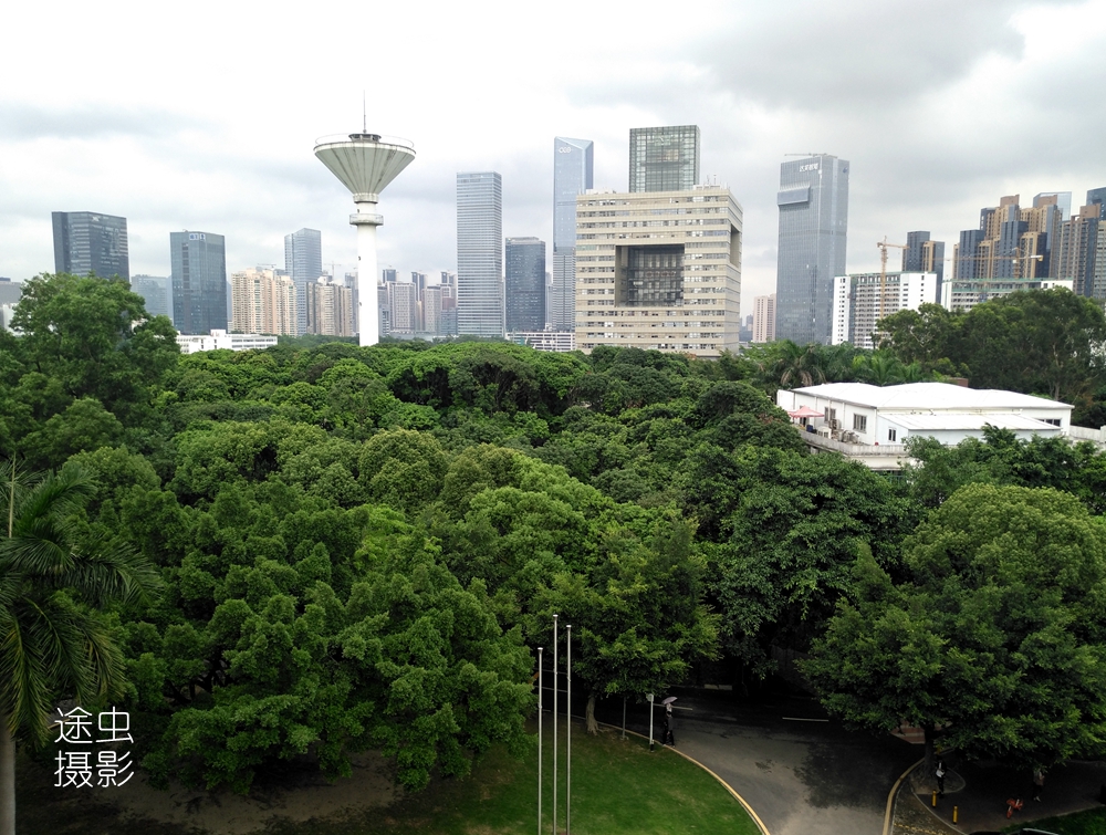 深圳大学俯瞰图(在深圳大学俯瞰深圳最强区南山区，天际线壮观，绿化更值得点赞！)