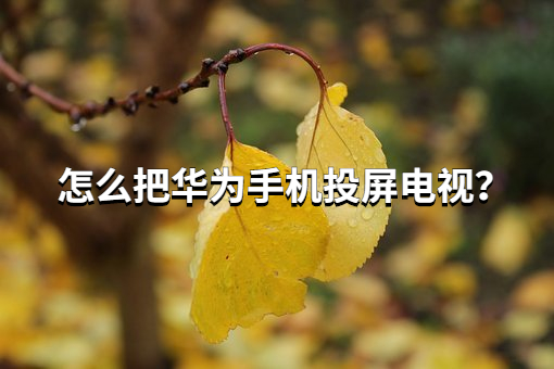 怎么把华为手机简单、快速地投屏到电视机上？