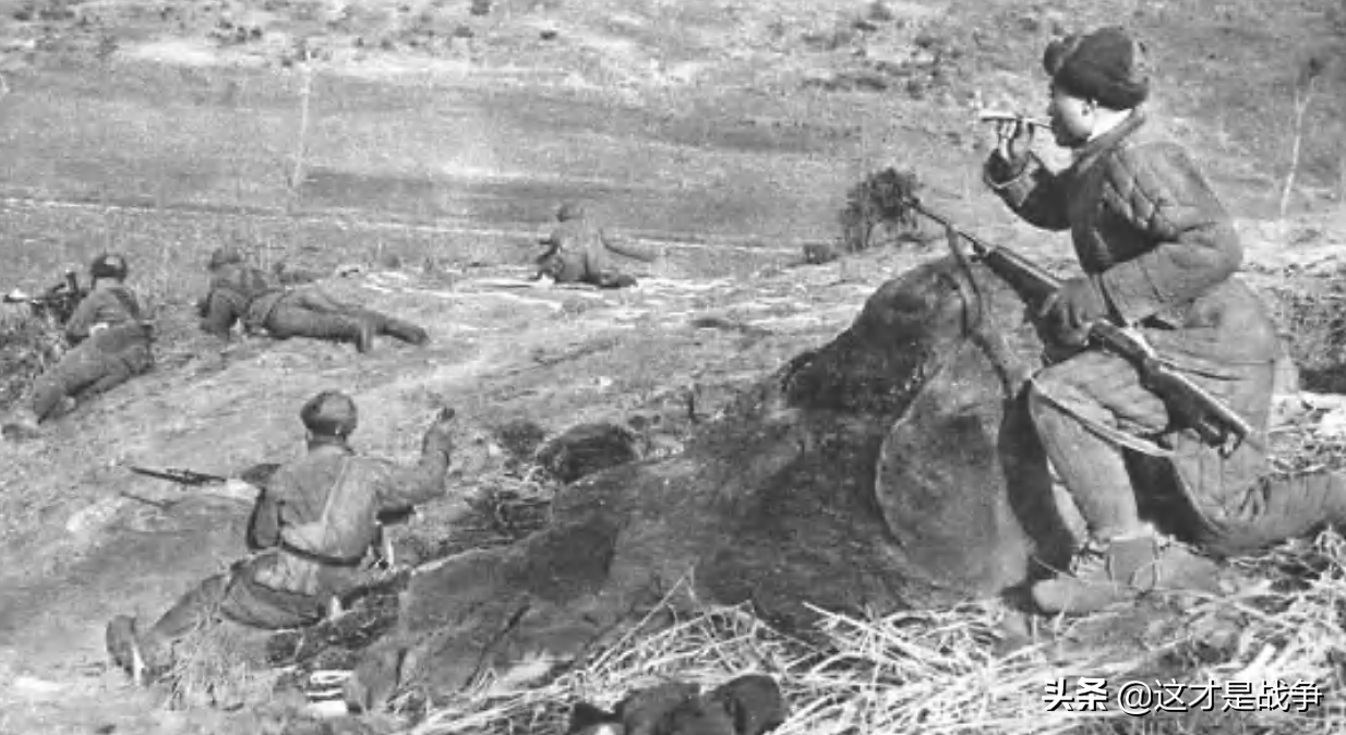 专家说志愿军打败美军纯属偶然，他们连军事都