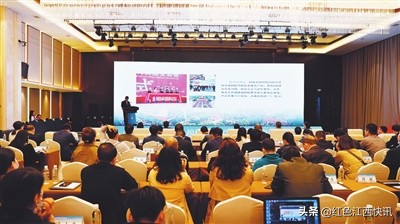 江西樟树：全力振兴中医药发展