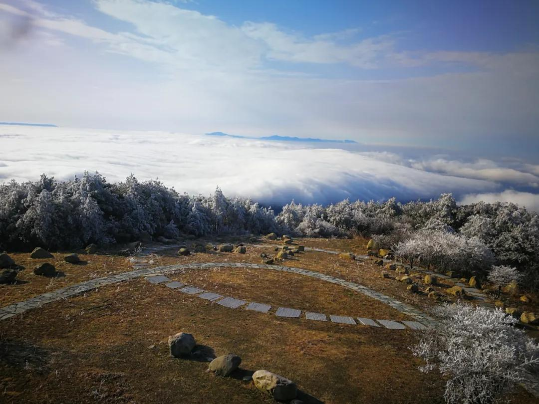 美哭｜3月2日天岳幕阜山现大面积雾凇美景，晶莹剔透美极了.