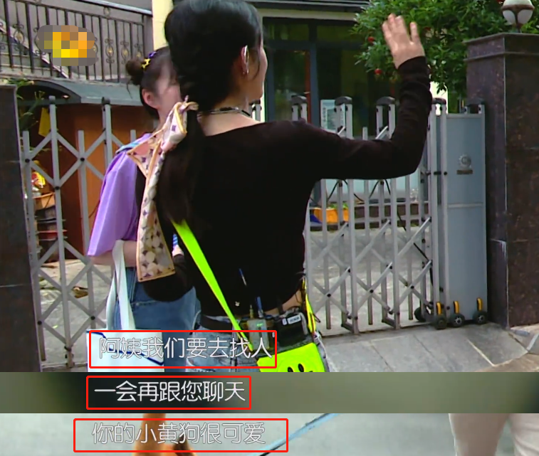 实惨|赵丽颖上节目实惨！被狗追一路黄晓明举动太暖心 粉丝：颖宝你不是养狗的吗？