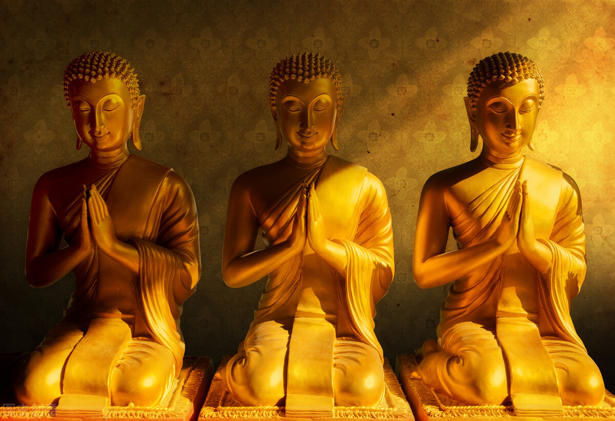 ѧΪˣʵѵãΨоУŲΪ