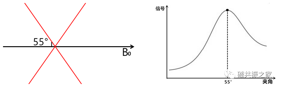 你可能被这样的MRI图像骗了很多年