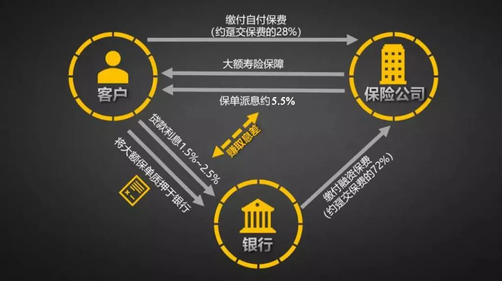 保单套现：质押贷款 vs. 保单逆按揭