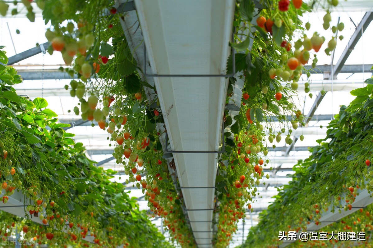 无土立体栽培的几种类型