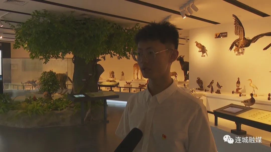 龍巖地質公園博物館試開館 免費向公眾開放