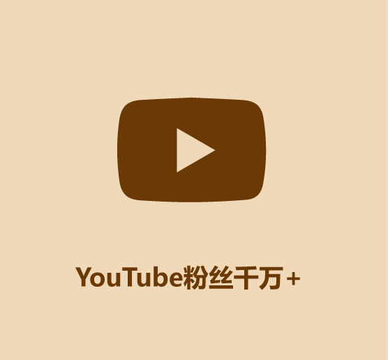 30秒认识李子柒