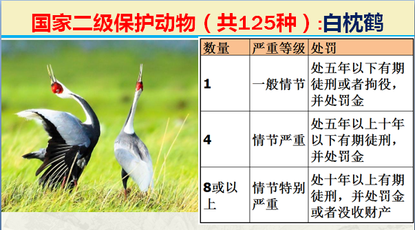 国家最新125类二级野生保护名录，图片及违法对应刑责