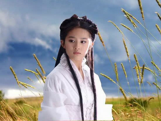 《花木兰》首映，亦菲热度再登高峰，却深陷双