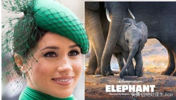 哈里和梅根在外借住朋友家，也不回头，梅根有心理压力