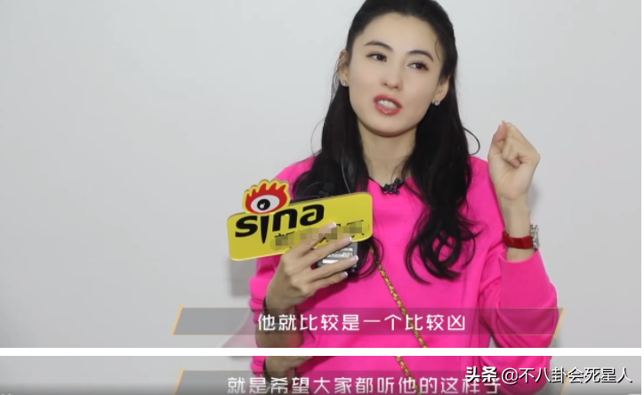 张柏芝谈三个儿子性格不同，大儿子才华很像谢霆锋，小儿子比较凶