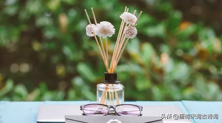 什么是释怀,这是我听过最诗意的回答