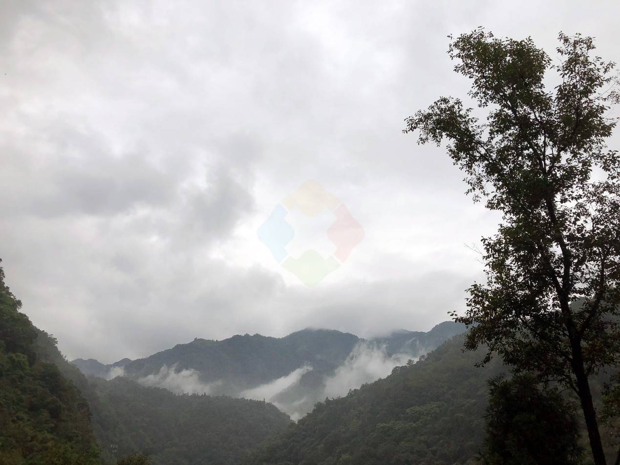 峨眉山旅行日记：徒步攀登太困难，半路还会被猴子“打劫”