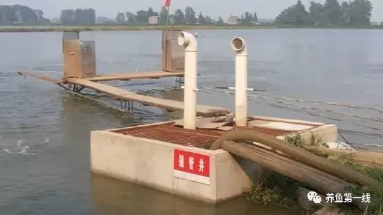 池塘底排污:排除废水,改良底质,净化水体,水好鱼才好
