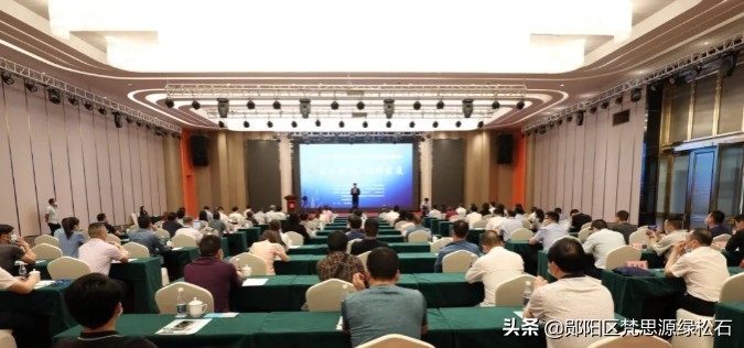 数十名顶级绿松石专家出席，竹山这场大会不一般