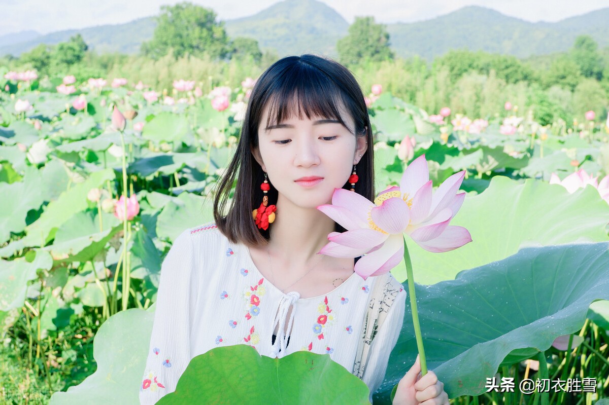 唯美采莲情诗12首：一花与一叶，开花叶正圆-第1张图片-非凡网