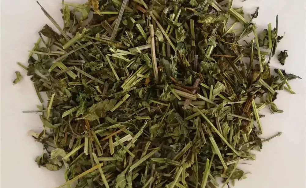 这个以韩信命名的神草,原来是一味抗癌的良药