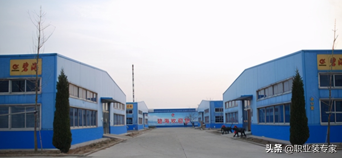 碧海四季情,領(lǐng)略碧海好風(fēng)景