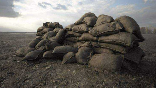 原来我们被误导了，大树不能挡子弹，真正能挡