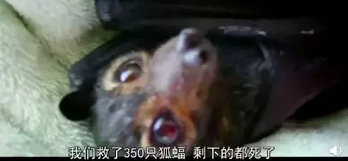 bbc纪录片揭秘气候变化真相:留给人类的时间不多了!| 花边阅读