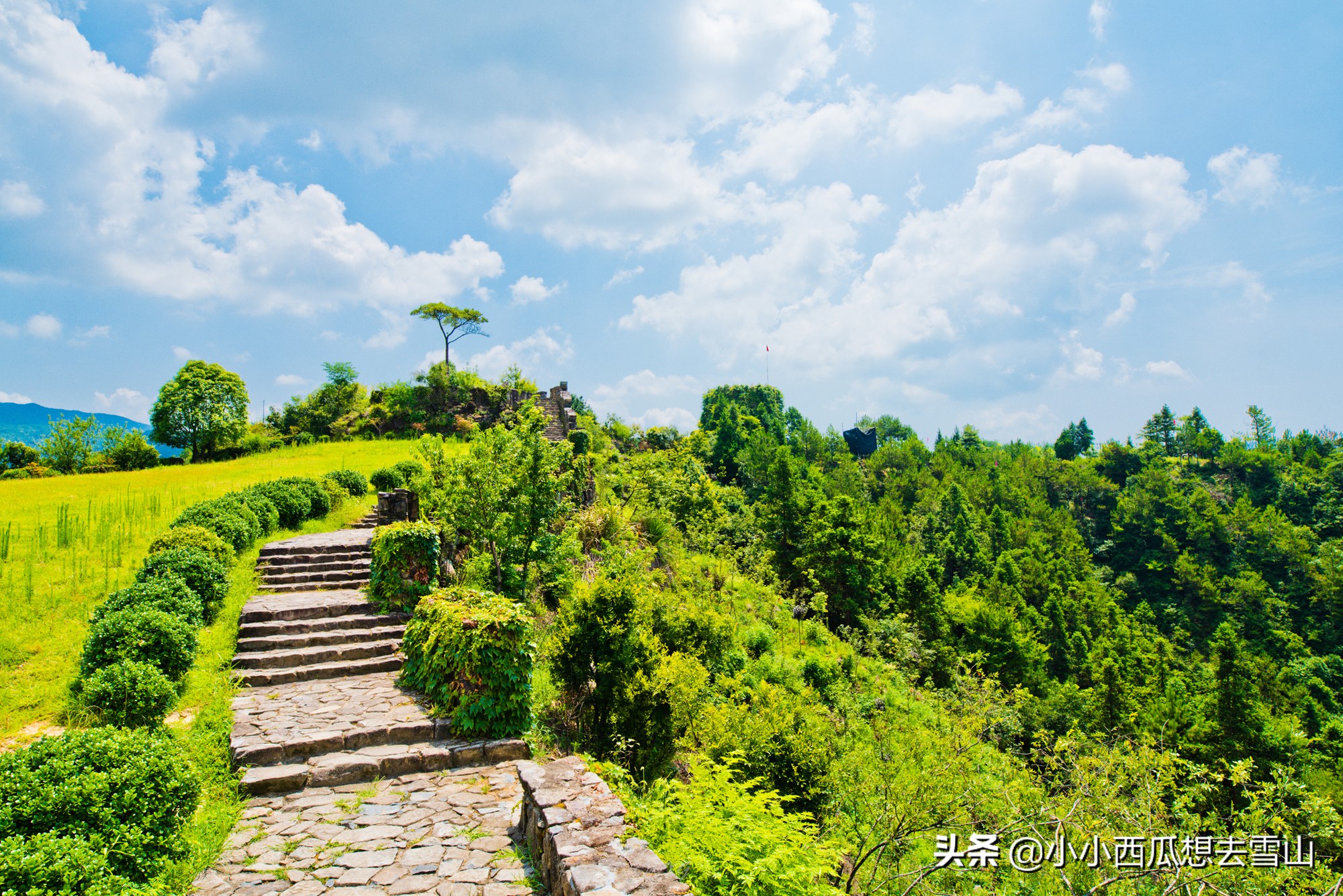 浙东藏着一处峡谷，被誉为人间仙境，李白等百