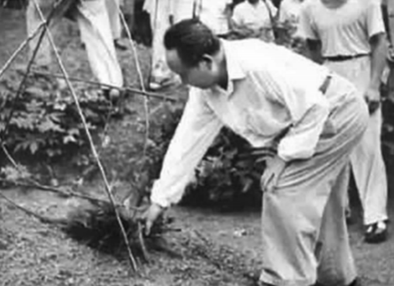 毛澤東時隔32年重回韶山，看到父母墳?zāi)蛊茽€不堪：不要修，就這樣